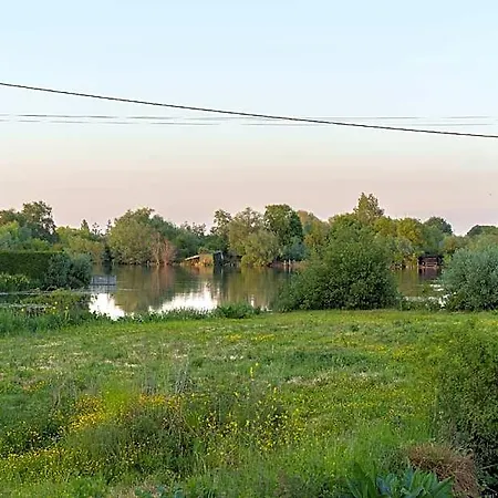 Le Grebe Saint-Martin-au-Laërt